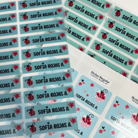 Set Premium Stickers Escolares